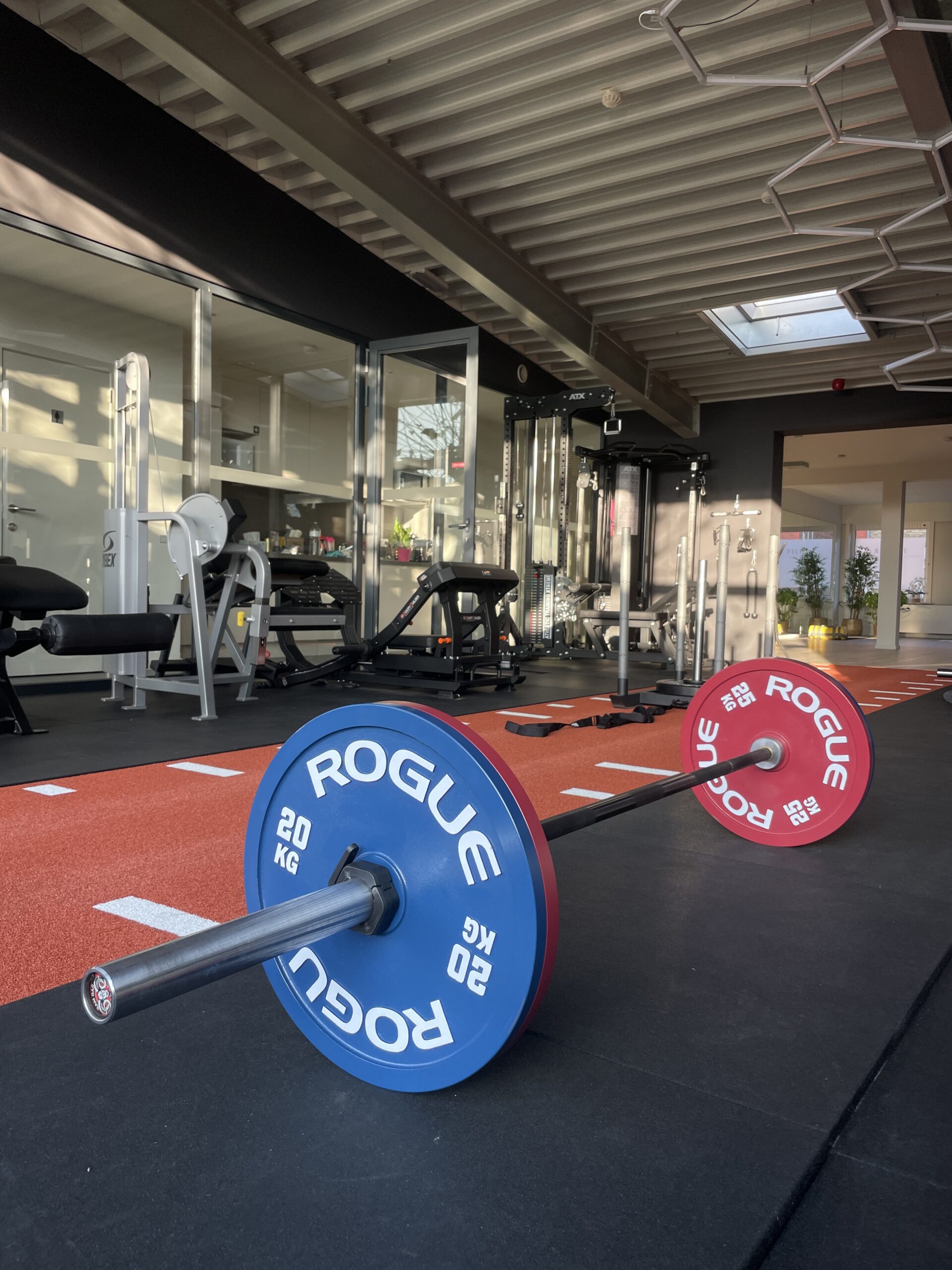 Pre- en postnatale training